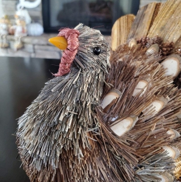 Gorgeous Natural Turkey-NWT - Picture 4 of 10